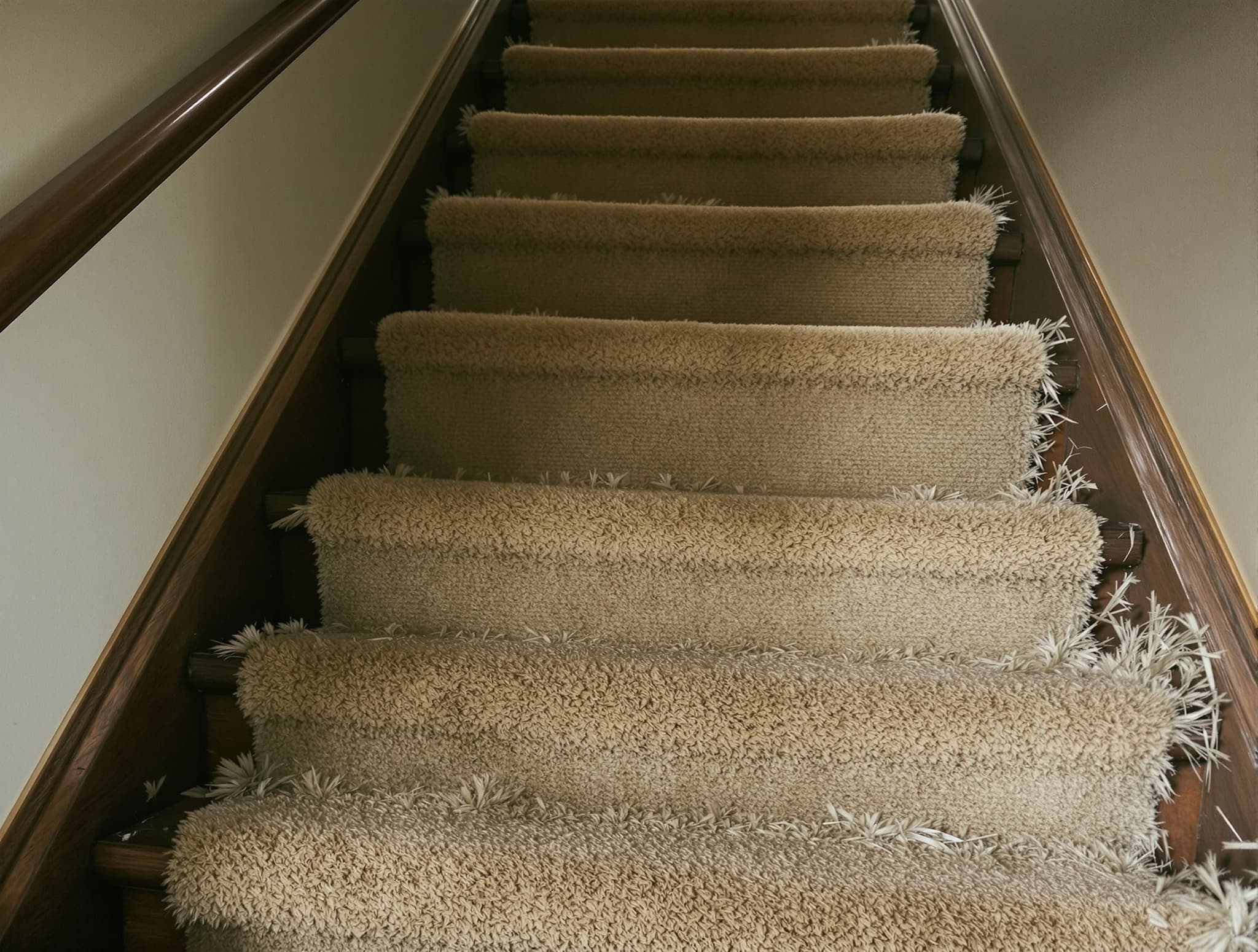 Before Oak Treads + Painted Risers in Roslyn